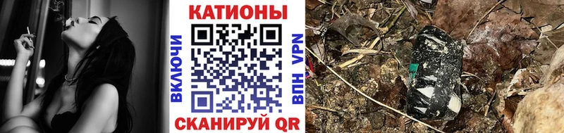 Где купить Выкса Бошки Шишки  Мефедрон  А ПВП  Псилоцибиновые грибы  МЕТАДОН  Гашиш 