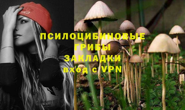 ГАЛЛЮЦИНОГЕННЫЕ ГРИБЫ Богданович