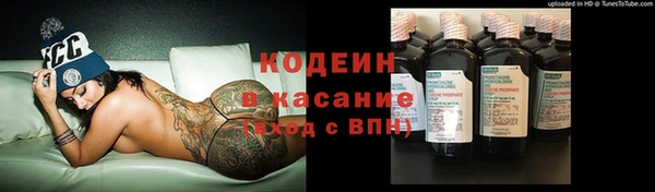 амф Липки
