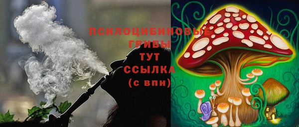 амф Липки