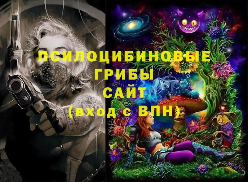 Псилоцибиновые грибы Psilocybe Выкса