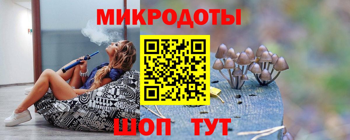 Псилоцибиновые грибы Psilocybe  Выкса 