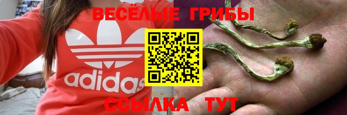 Галлюциногенные грибы ЛСД  Вход с VPN  Псилоцибиновые грибы мухоморы  Выкса 